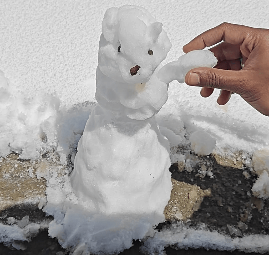Snowfall in Khardung La