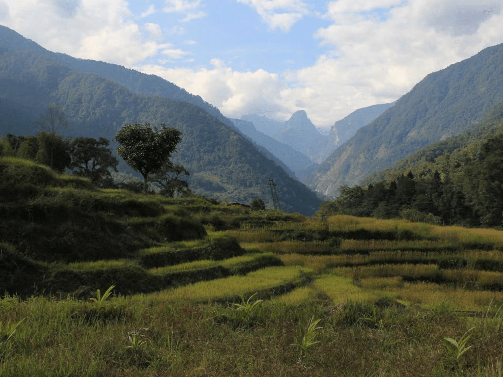 Terrace farming in Sikkim