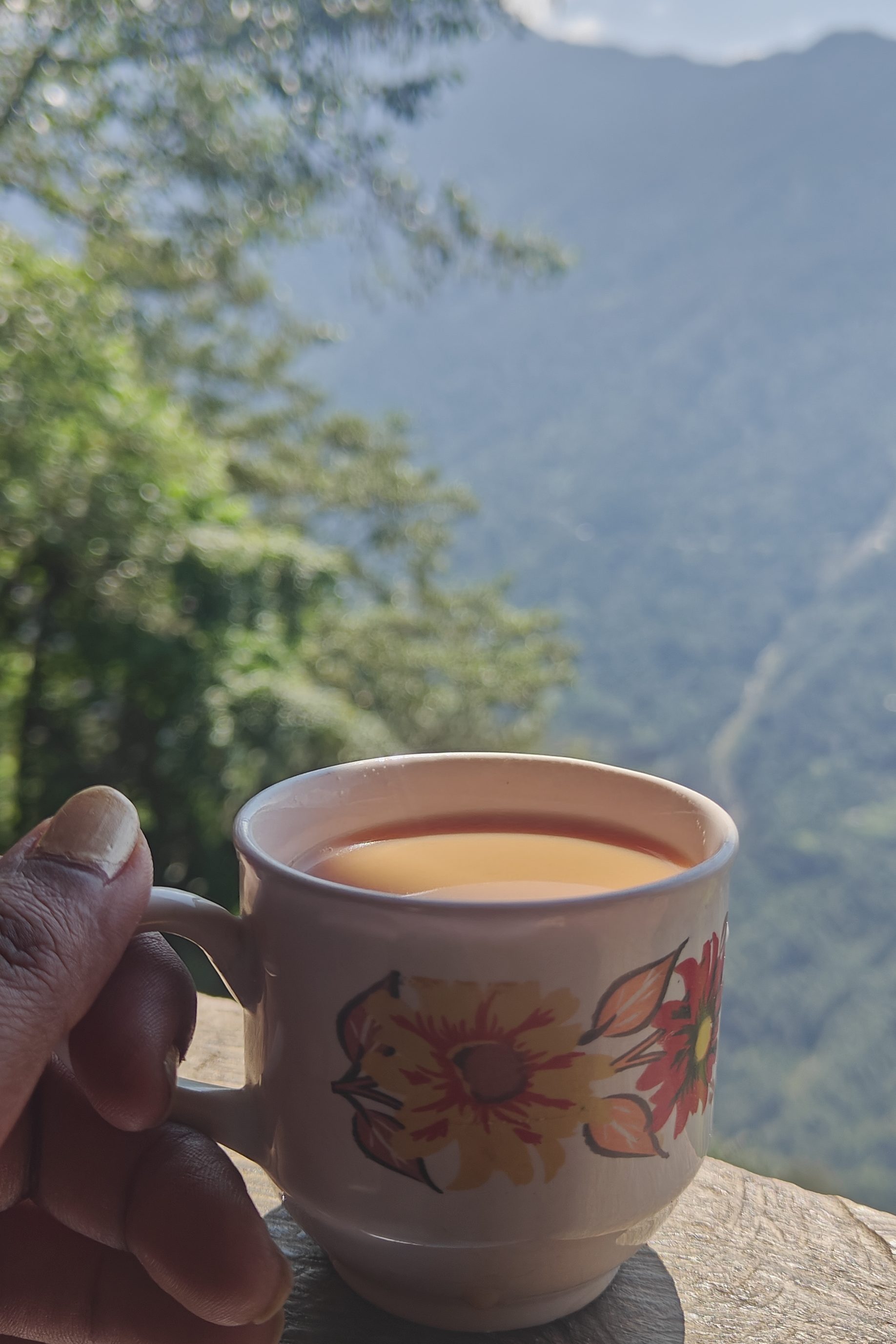 Tea at roadside shop with a view