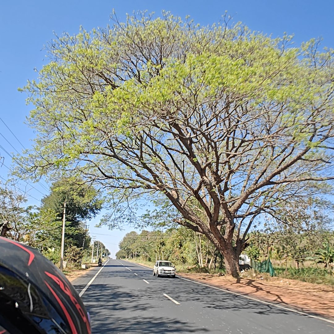 Kanakapura road