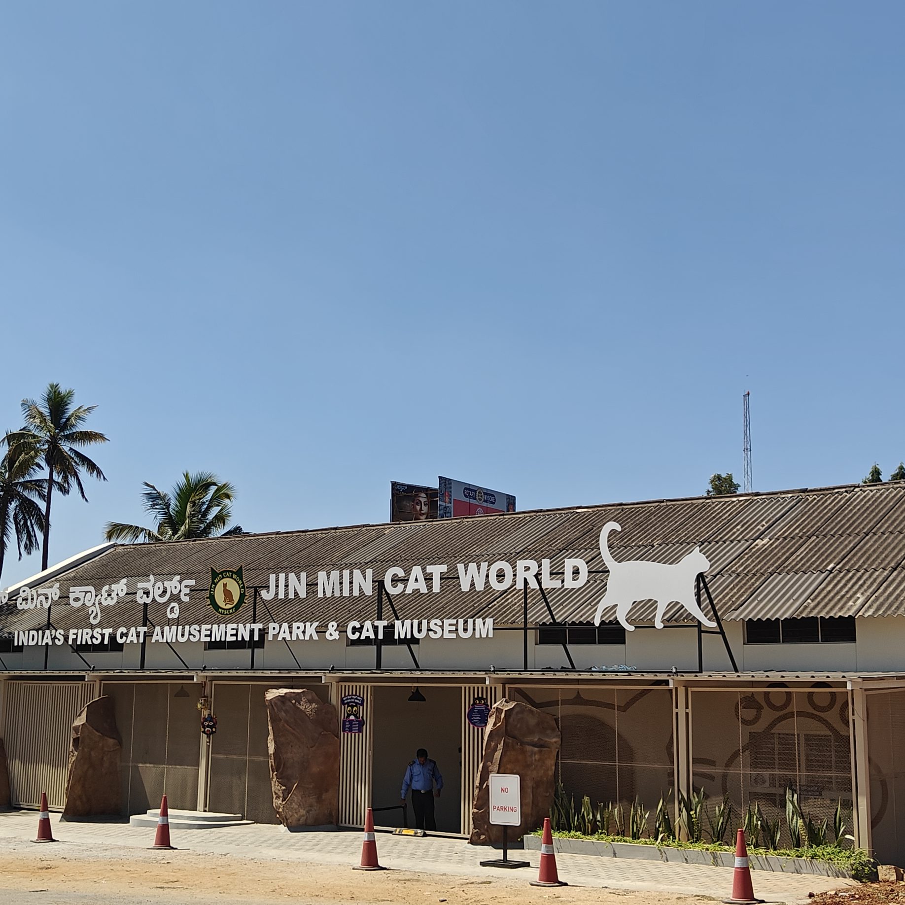 Jin Min Cat Museum
