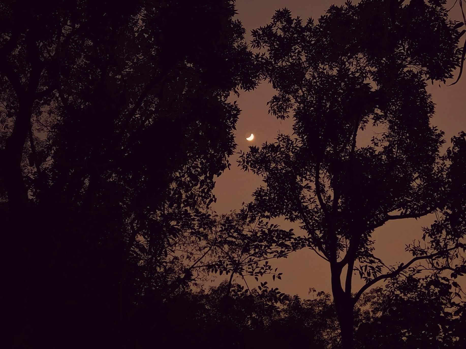 A Moonlit sky in Meghalaya